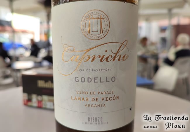 Capricho Godello Bierzo
