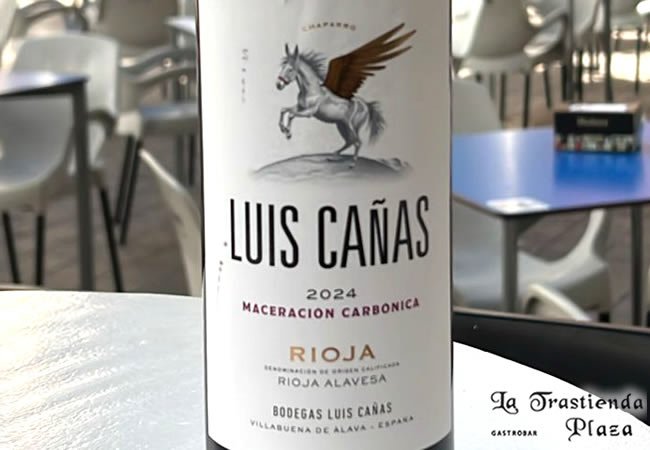 Luis Cañas Rioja