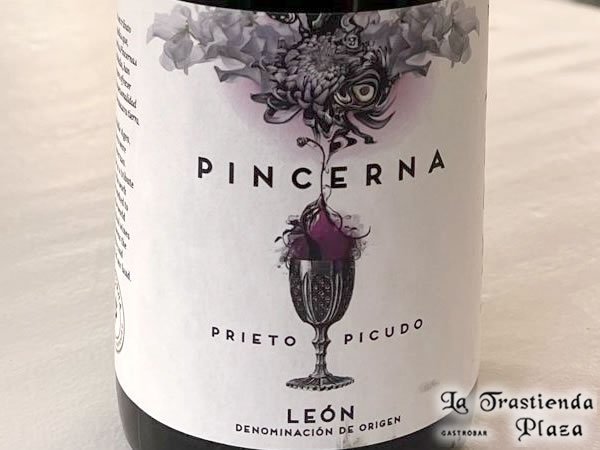 Pincerna
